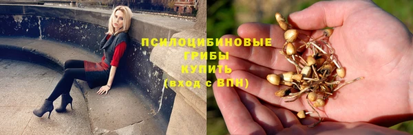 таблы Козловка